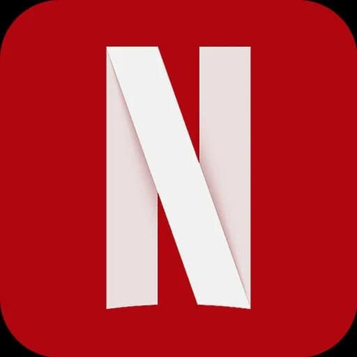 Netflix Icon