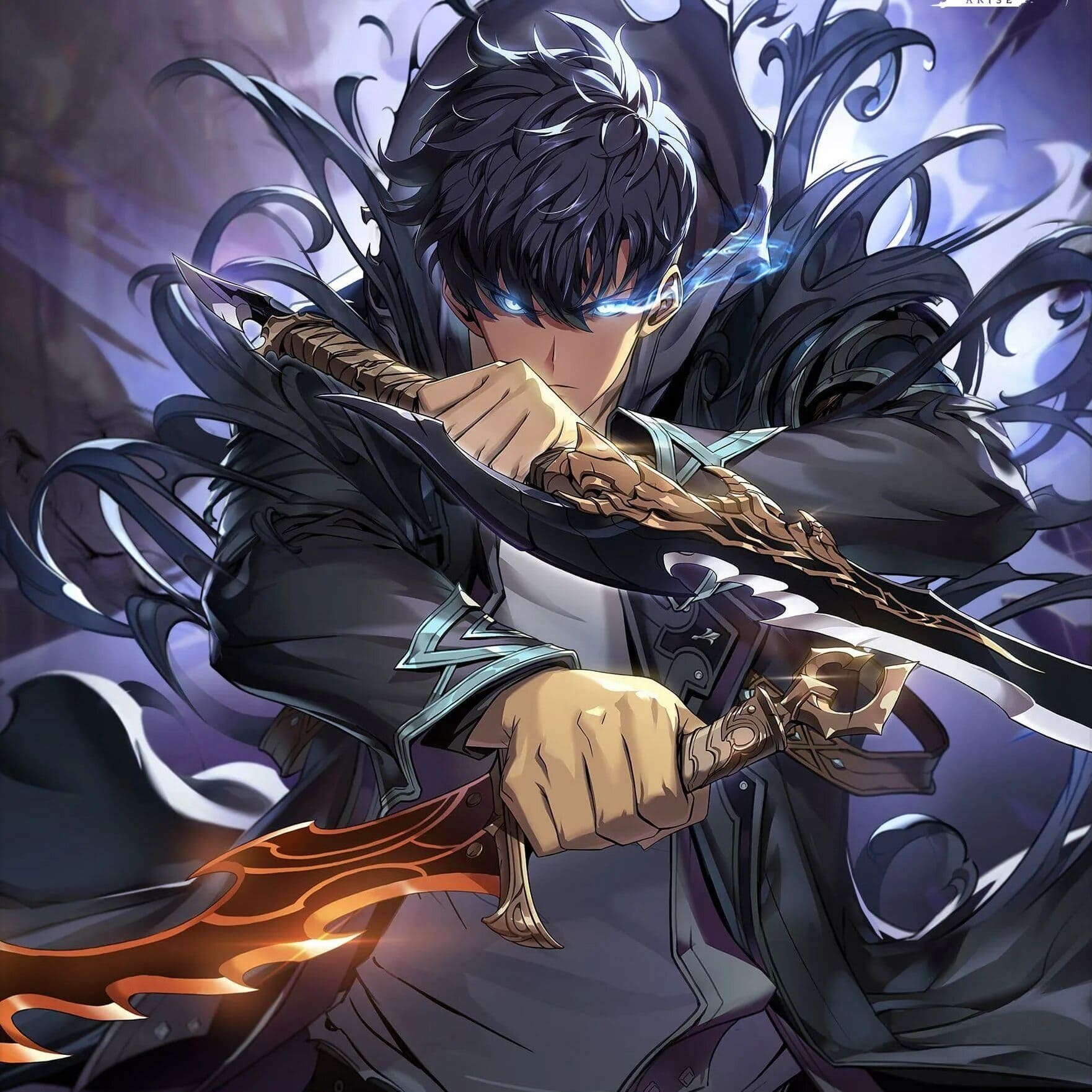 Solo Leveling:ARISE Icon