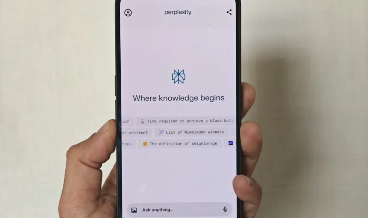 Perplexity Search Interface