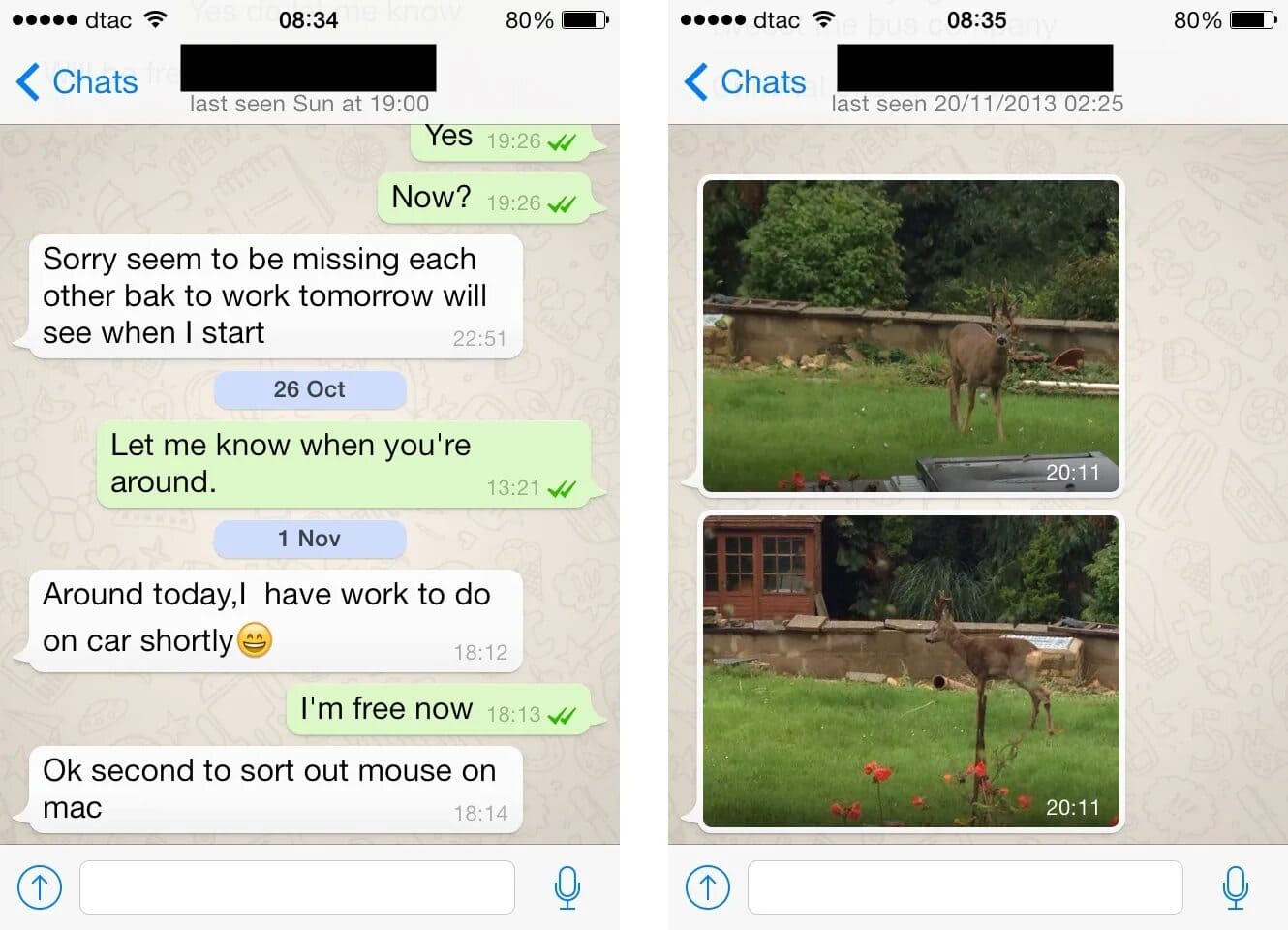 WhatsApp Chat Screen